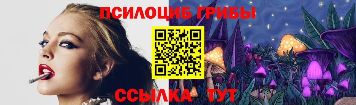 Псилоцибиновые грибы Psilocybine cubensis Бердск